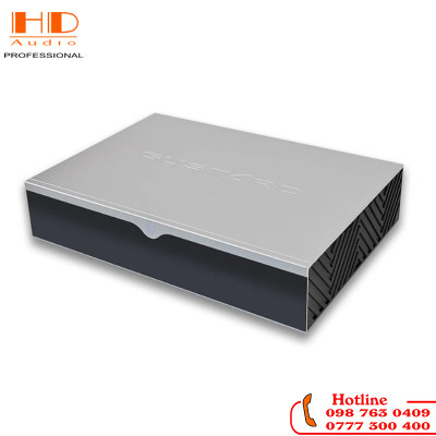 DAC GUSTARD R30 R2R